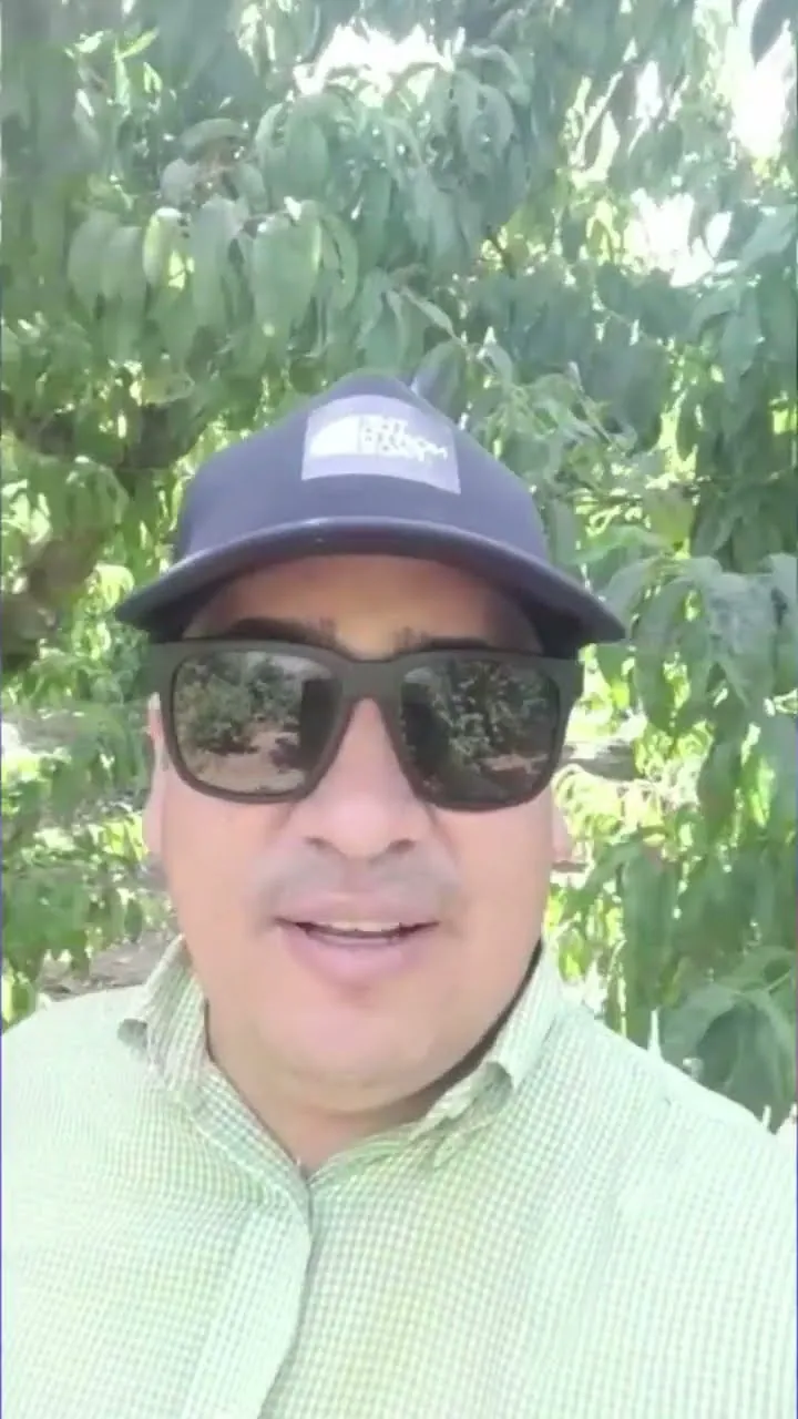Testimonio de Sergio Pino, Gerente General, Agrícolas Pino