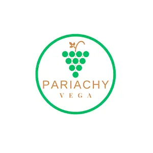 SERVICIOS-PARIACHY-VEGA-SPA-recursos-contables